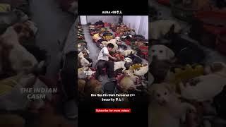z + security  dog funny video #shorts #dogs