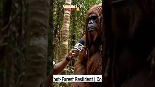 #jamaicanbigfoot first interview by jtn news  #fullimiaent #shorts #comedy