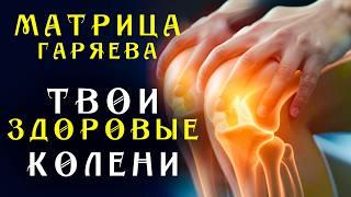 Единственная Матрица Гаряева для Коленного Сустава ️ Полное Восстановление Коленей Звуком