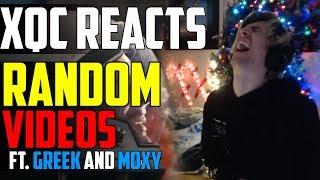 xQc REACTS TO RANDOM VIDEOS ft Greekgodx and Moxy #3 | xQcOW