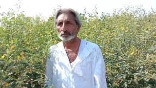 Greenplanet Jahar mukt kheti