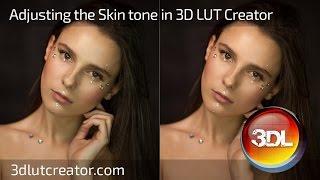 Adjusting the Skin Tone in 3D LUT Creator