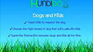 Dogs and Kids