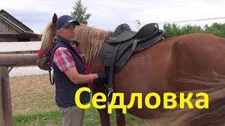 Как седлать лошадь