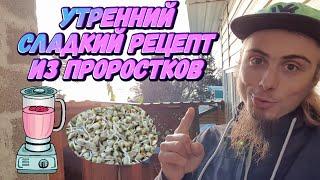 Рецепт утреннего коктейля из проростков Зелёной Гречки