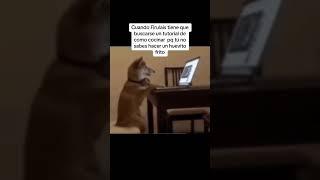 #firulais autodidacta #perrosdivertidos #perrosgraciosos #funnydogs #funnydogsvideos