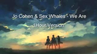 Jo Cohen & Sex Whales - We Are l 1Hour Version