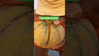 Honeydew Melon color and texture #muskmelonfarming