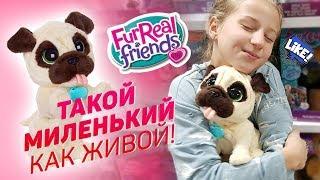 ТАКОЙ МИЛЕНЬКИЙ, КАК ЖИВОЙ! Играем Щеночком Джей Джей от FurReal :)))