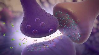 Glutamate Modulation | MOA Animation