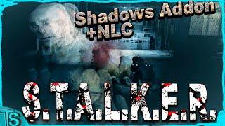 БЕШАНЫЙ КАНТРАЛЁР в Х 16 S T A L K E R Shadows Addon 0 8 5+Оружейный пак от NLC7