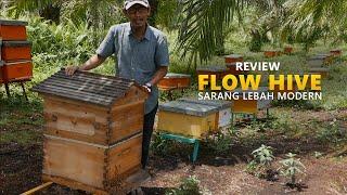 Review FLOW HIVE - Sarang Lebah Modern dan Inovatif