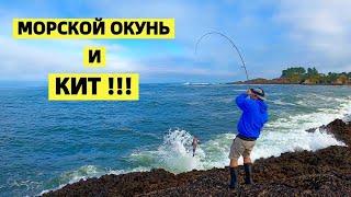 РЫБАЛКА НА МОРСКОГО ОКУНЯ И КИТ !! САМЫЙ БОЛЬШОЙ ДЕРЕВЯННЫЙ САМОЛЁТ В МИРЕ. ТИХИЙ ОКЕАН. США