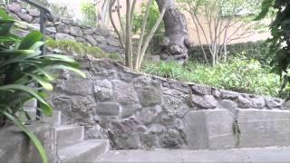 Russian Hill in San Francisco secret stairs and gardens