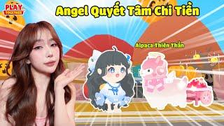 Angel Cay Cú Quyết Tâm Mở Ra Alpaca Thiên Thần | Play Together