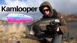 PROSPECTING: Dolly Varden hit the Kamlooper