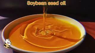 Soybean oil extraction machine  Soybean oil press equipment soya bean oil production #cookingoil