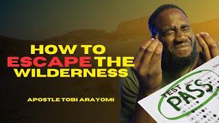 HOW TO ESCAPE THE WILDERNESS | TOBI ARAYOMI