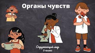 Органы чувств. Окружающий мир 3 класс