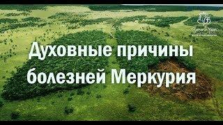 Духовные причины болезней Меркурия