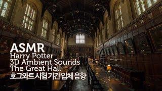 ASMR Harry Potter 공부할 때 듣는●호그와트 O.W.L.시험 기간-그레이트 홀 입체 음향 | Hogwarts The Great Hall 3D Ambient Sounds