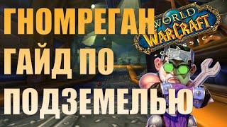 Гномреган WOW Classic