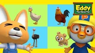 Learn Differences with Eddy the Clever Fox S1 EP7 Same and Different l Pororo the Little Penguin