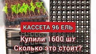 Питомник растений с нуля|Забрали 500 кг кассет для черенков|Обзор кассета 96 ель