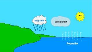 "The Water in the Ocean" Song about the Water Cycle