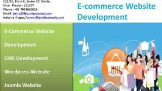 eCommerce Website Development Services| Company | Noida