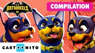  TOP 7  Best Pets Moments |  Batwheels | Cartoon For Kids| Cartoonito