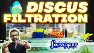 Setting Up a Discus Fish Tank with Top Sump Filtration: A Complete Guide