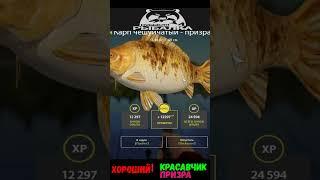 #shorts  #нарезка #Russian Fishing 4#хороший красавчик призрак