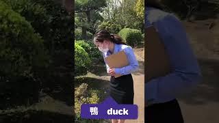 【Learn Japanese in 30s #316】～Walking around TLS #行船公園～”duck/鴨” #Gyosenpark