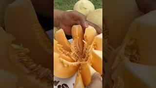 fruits  muskmelon  fresh fruit  || Natural #nature #VDS@style-i2z #viralshorts