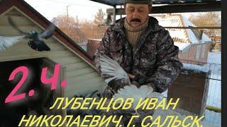 2.Ч. НИКОЛАЕВСКИЕ ГОЛУБИ - В ГОСТЯХ У ЛУБЕНЦОВА ИВАНА НИКОЛАЕВИЧА ".Г.САЛЬСК. 24.12.2020.Г.