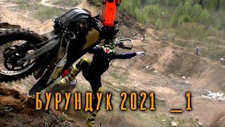 Грязный бурундук  2021 _1