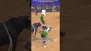 A collection of highlights of bullfighting#fyp #pov #pet #funny