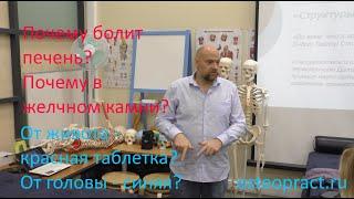 Почему болит печень — только ли от водки? Есть и другие причины! Почему камни в желчном?