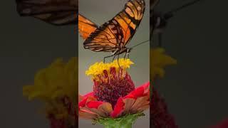 Feel-Good Sounds-Music for a Boost of Energy.‍️‍️