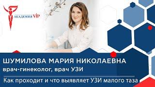 УЗИ малого таза:как проходит процедура и как подготовиться к УЗИ? Виды УЗИ малого таза