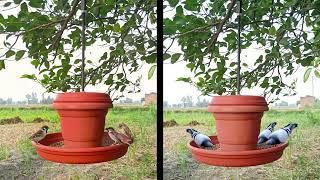 How to make Hanging Bird Feeder Using Flower pot.