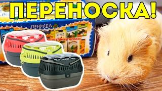 Переноска Для Морской Свинки / SvinkiShow