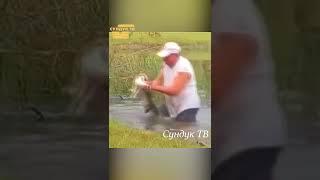 Дед спас пса от крокодила