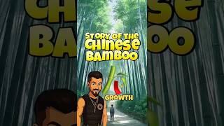Prepper Essentials: Perseverance, Story of the Chinese Bamboo: A Powerful Lesson to Never Give Up