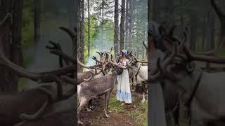 鹿仙女。-Deer Fairy Lady