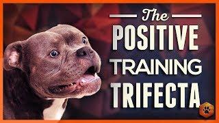 How to Teach Your Dog to Listen With the Positive Training Trifecta!