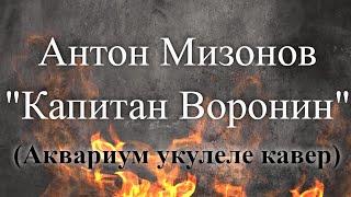 Антон Мизонов - Капитан Воронин (Аквариум укулеле кавер)