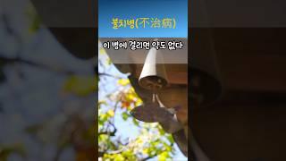 정약용명언 불치병(不治病) #명언 #좋은글 #지혜 #인생조언 #삶의지혜