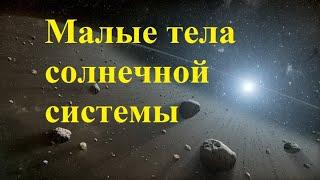 Малые тела солнечной системы. Астероиды. Кометы. Метеоры и метеориты